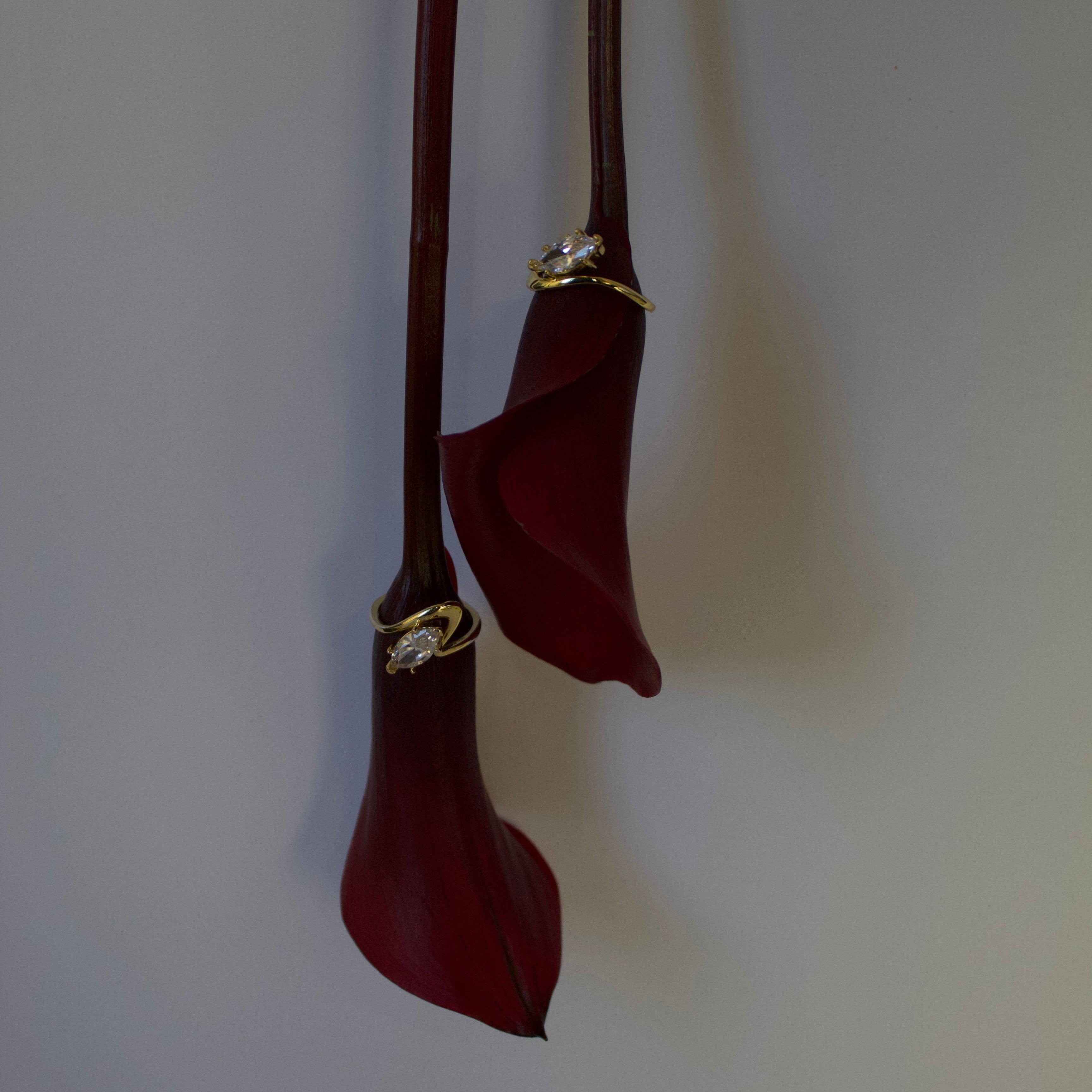tulipe rouge entouré de bagues en acier inoxydable doré